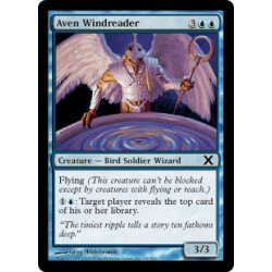 Aven Windreader