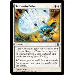 Battlewise Valor