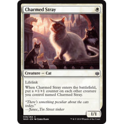 Charmed Stray