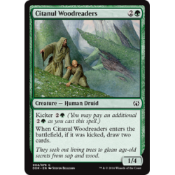 Citanul Woodreaders