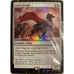 Core Set 2021 - Land Pack (40x) + Pack Leader Promo