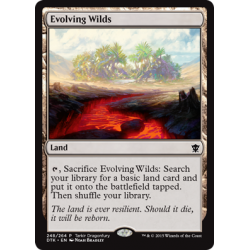 Evolving Wilds Promo