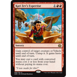 Kari Zev's Expertise