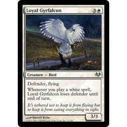 Loyal Gyrfalcon