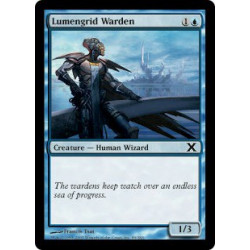 Lumengrid Warden