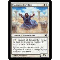 Stonewise Fortifier