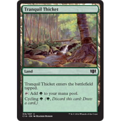 Tranquil Thicket