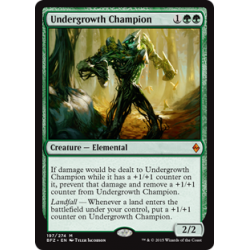 Undergrowth Champion